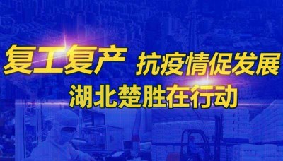 嚴(yán)防疫情、有序復(fù)工 湖北楚勝成為隨州首批復(fù)產(chǎn)企業(yè)之一